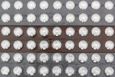 Bir sürü dekoratif LED ışığı olan nemli yüzey