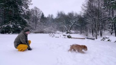 Adam ve köpeği, kızıl saçlı cocker spaniel