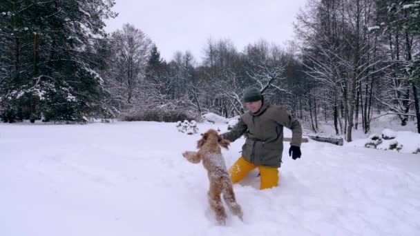 Adam ve köpeği, kızıl saçlı cocker spaniel — Stok video