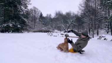 Adam ve köpeği, kızıl saçlı cocker spaniel