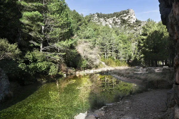 Ущелье реки Матарранья в Испании — стоковое фото