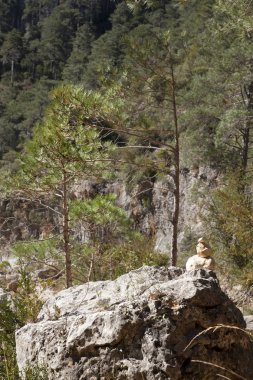 Ulldemo Nehri. Los bağlantı noktaları dağlar