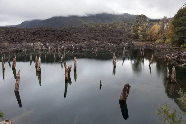 Lagune d'Arcoiris du parc national de Conguillio — Photo