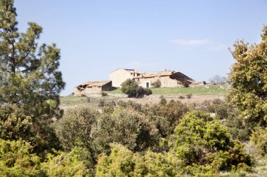 Hermitage Los bağlantı noktaları