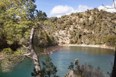 Badem çiçeği. Teruel ilinde