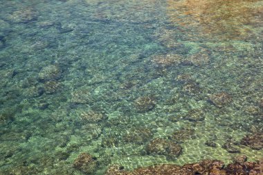 Doku Menorca'nın Beach