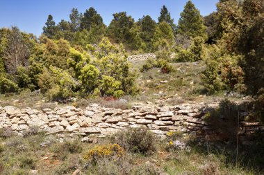 Los bağlantı noktaları dağ alanında