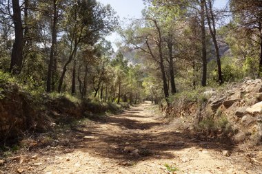 La Franqueta yol