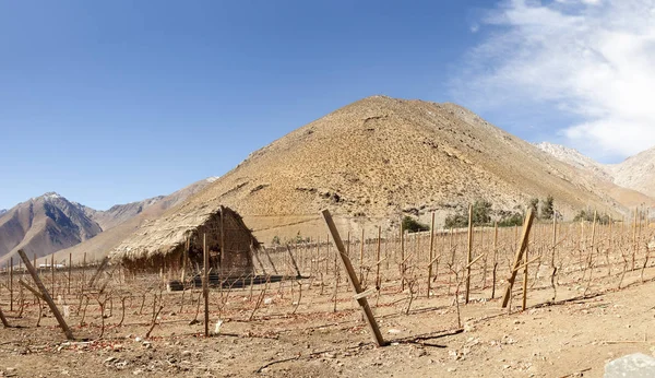 Atacama çölü. Şili