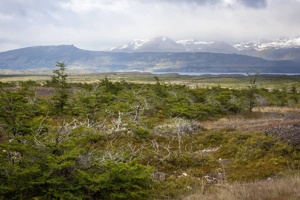 Chilenische Patagonien — Stockfoto