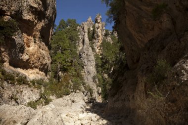 Los bağlantı noktaları Tabiat Parkı