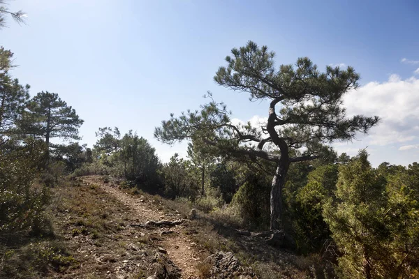 Los-portar berg — Stockfoto