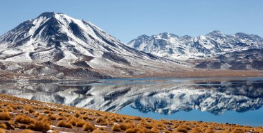 Laguna Miscanti Panoramisi