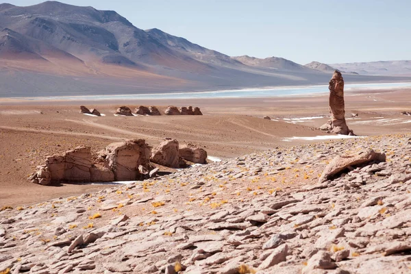 Tara Nın Salar Atacama Çölü Kuzey Şili — Stok fotoğraf