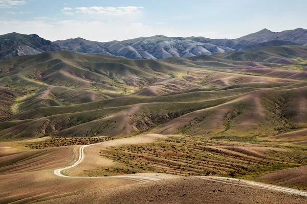 蒙古戈壁沙漠中部的公路 图库照片