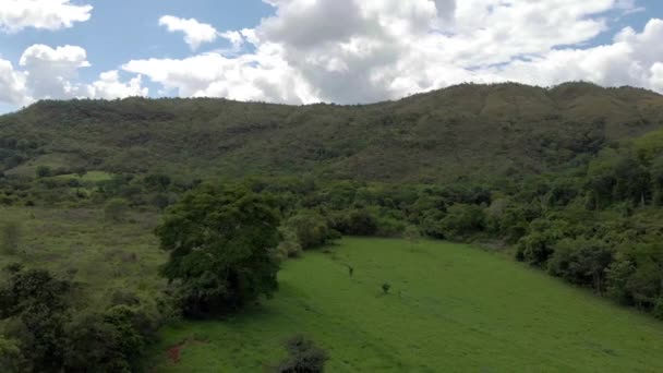 Vista Aerea Cerrado Brasileiro Centro Oeste Brasile Filmati Aerei Cerrado — Video Stock