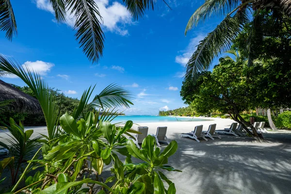 Belle vue sur une plage de blanc immaculé, eau turquoise et pa — Photo