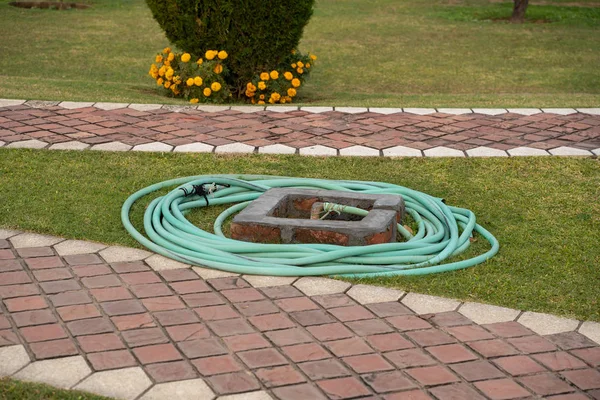 Garden hose is coiled up on the grass in a landscaped, manicured