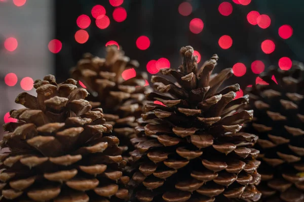 Piñas gigantes de Navidad (Jeffrey Pine Cones) frente a rojo b — Foto de Stock