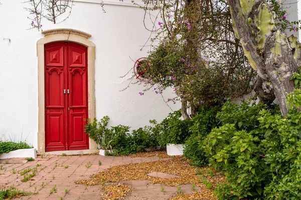 Bedårande röd dörr med landskapsarkitektur, träd och blommor mot — Stockfoto