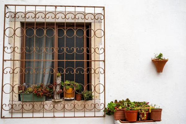 Charmigt fönsterbräde med kruksuckulenter och kaktus. Intaget — Stockfoto