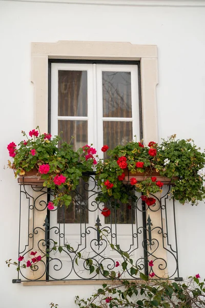 Jolie fenêtre blanche avec des fleurs rouges sur le balcon au Portugal — Photo
