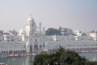 Amritsar Hindistan - 8 Şubat 2020: Sikh Altın Tapınağı (Sri Harman