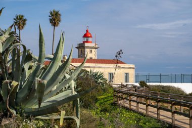 Ponta da Piedade Deniz Feneri Lagos yakınlarında, Portekiz Algarve 'de, yürüyüş yolu ışık evine, aloe vera ön planda
