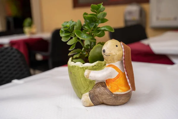 Pieza Central Conejo Adorable Con Una Planta Suculenta Maceta Sobre — Foto de Stock