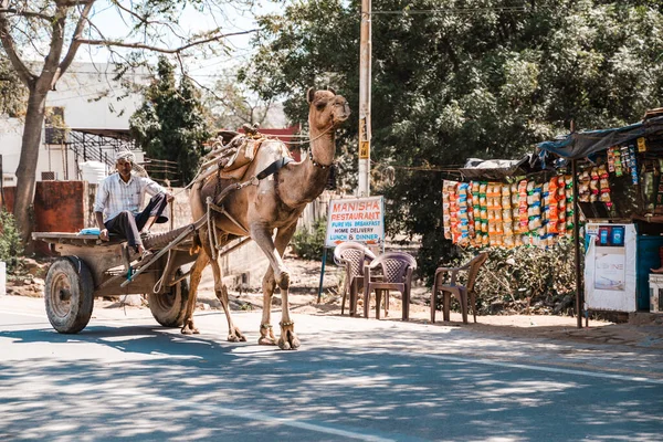 Sawai Madhopur Indie Marca 2020 Indianin Zostaje Ciągnięty Przez Wóz — Zdjęcie stockowe