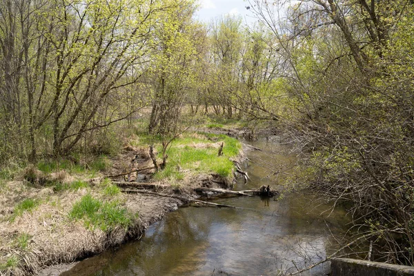 Petit Ruisseau Traversant Réserve Parc Elm Creek Maple Grove Minnesota — Photo