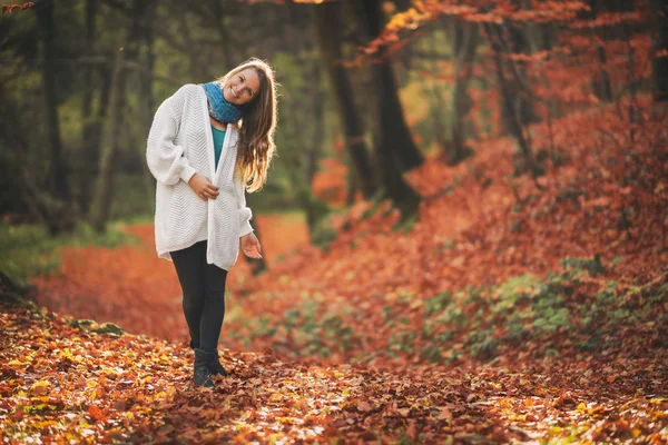 Walkin in the autumn — Stock Photo, Image