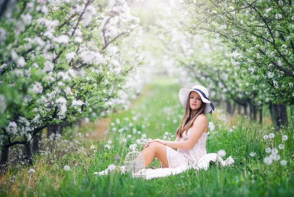 Девушка, сидящая в фруктовом саду на цветении весной — стоковое фото