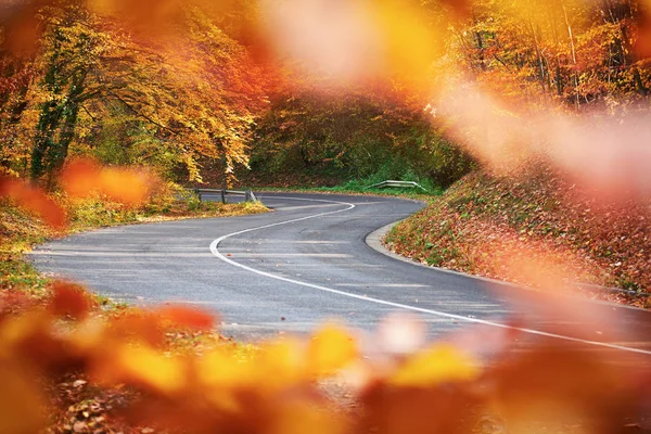 Road trog herfst bergbos. — Stockfoto