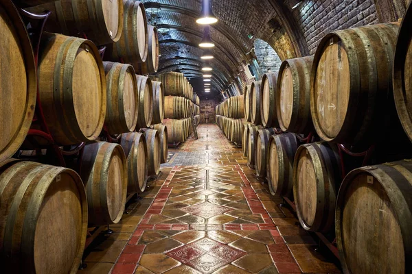 Wine cellar with a row of oak barrels