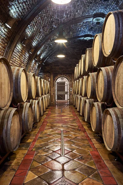 Wine Cellar Row Oak Barrels — Stock Photo, Image