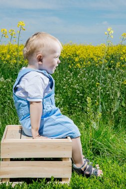 Sarı tecavüz alanında oturup bir ahşap kutu üstünde küçük bir oğlan. Parlak Foto, açık hava, yeşil alan. İyi bir çocuk izliyor.