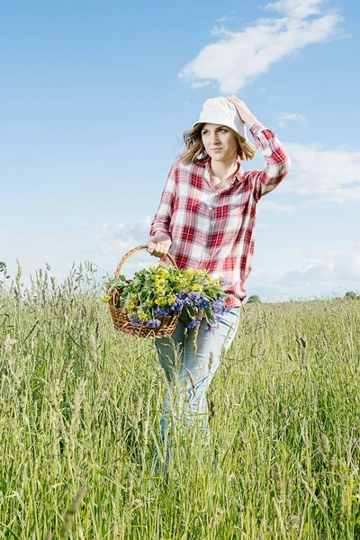 Uma Menina Campo Recolhe Flores Flores Campo Uma Cesta Uma — Fotografia de Stock