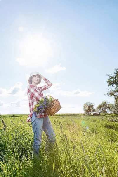 A girl in the field collects flowers, field flowers in a basket, a young girl with a smile, dressed in a shirt in a red box, in denim shirts and in a cappella, he goes and breaks colored (blue and yellow) flowers in a green field (meadow).