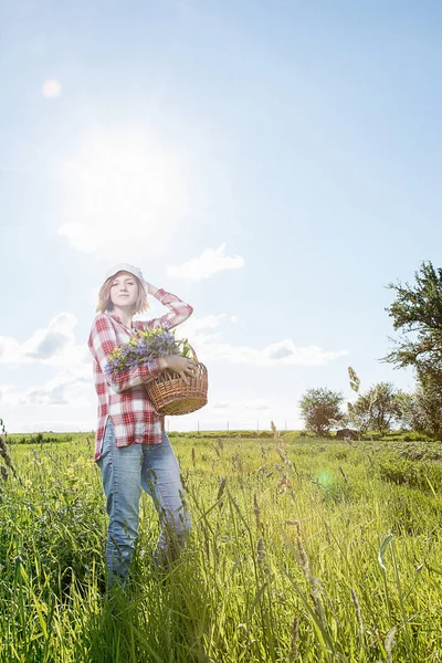 Girl Field Collects Flowers Field Flowers Basket Young Girl Smile — Stock Photo, Image
