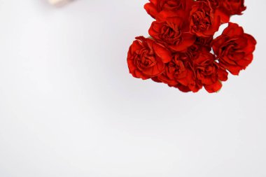 8 Mart kitabe beyaz bir arka plan üzerinde kırmızı çiçekli