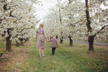Anne ve oğlu çiçek açan bahçede. Baharda doğada bebekle yürümek. Grojcu Bahçesi.