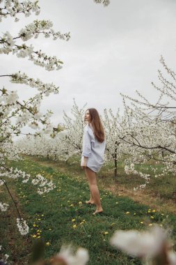 Kız çiçek bahçesinde yürüyor. Baharda kiraz bahçesindeki genç bir kadın. Çiçek açan ağaçlar arasında bir kızın fotoğrafı. Polonya 'da.