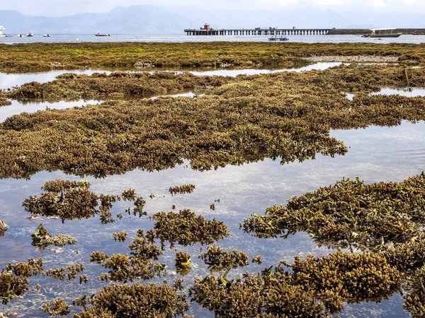 Bei Flut werden Korallen freigelegt und Schiffe bleiben trocken, nusa penida, Indonesien. — Stockfoto