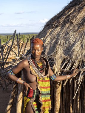 Omo Nehri, Kabile Hamar, 10 Mayıs 2019, Hamar kadınları her fotoğraf için para istiyor, 10 Mayıs 2019, Hamar, Omo Nehri, Etiyopya
