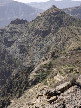 Dağ yamaçlarındaki tarlalar, Umman.
