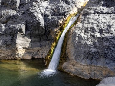 Küçük su depolarında dağ derelerinde saklanır. Umman.