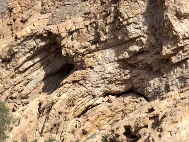 Yazın dağlarda geniş ve kuru bir vadi vardır. Umman.