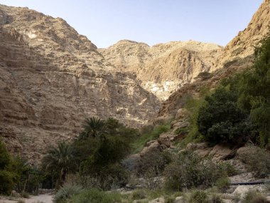 Wadi Shab, güzel manzara, yüksek kayalar, temiz su akıntısı. Umman.