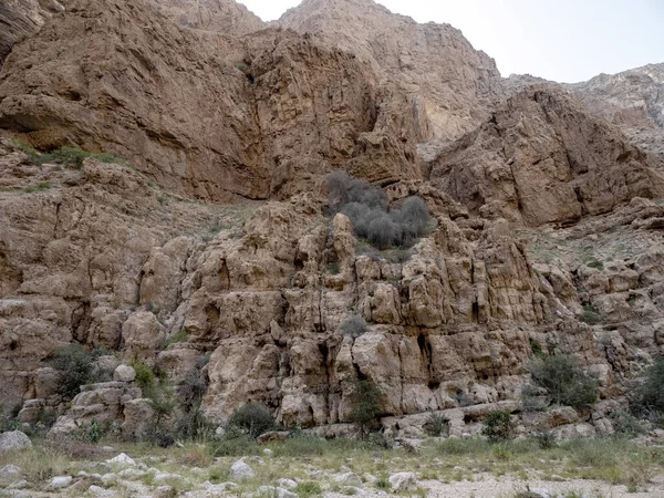 Wadi Shab Belas Paisagens Rochas Altas Córrego Com Água Limpa — Fotografia de Stock